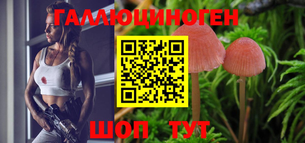 Санкт-Петербург  Псилоцибиновые грибы Cubensis  Вход с VPN  Галлюциногенные грибы MAGIC MUSHROOMS 
