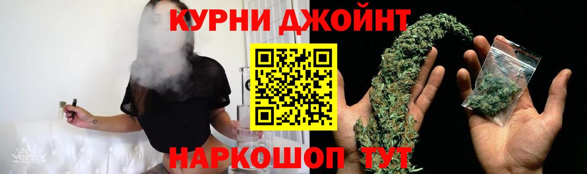 Каннабис сатива Санкт-Петербург